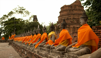 Buddhist Circuit Tour