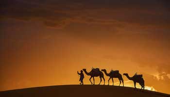 Rajasthan Tour With Hill Station