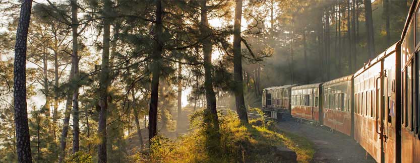 Delhi Agra Jaipur Shimla Manali Tour