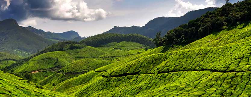 Kerala Mountain Tour