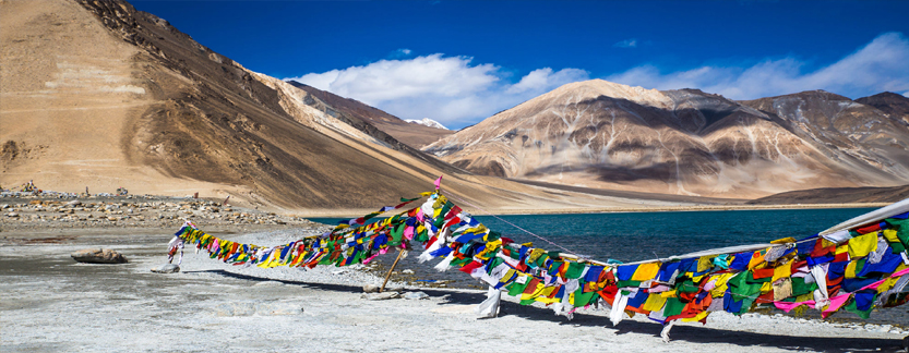 Leh Ladakh Pangong Lake Tour Package India