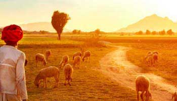 Rural Rajasthan Tour