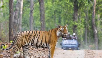 Golden Triangle Tour With Ranthambore